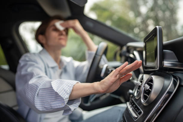 Best Thermostats and Smart Controls in Silt, CO
